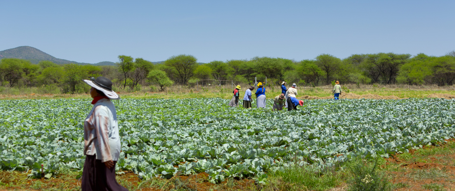 Groenfontein Farm - Mogalakwena - Students being trained in Permaculture