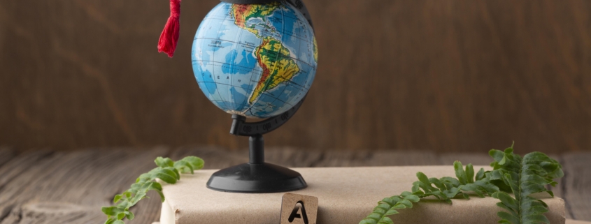 arrangement-with-book-plants representing school curriculum