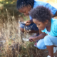 Children, magnifying glass and explore nature outdoor for education, vacation journey or wildlife discover. Siblings, grass park and forest for research on mountain field or adventure, holiday or fun.