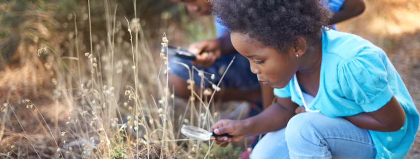 Children, magnifying glass and explore nature outdoor for education, vacation journey or wildlife discover. Siblings, grass park and forest for research on mountain field or adventure, holiday or fun.